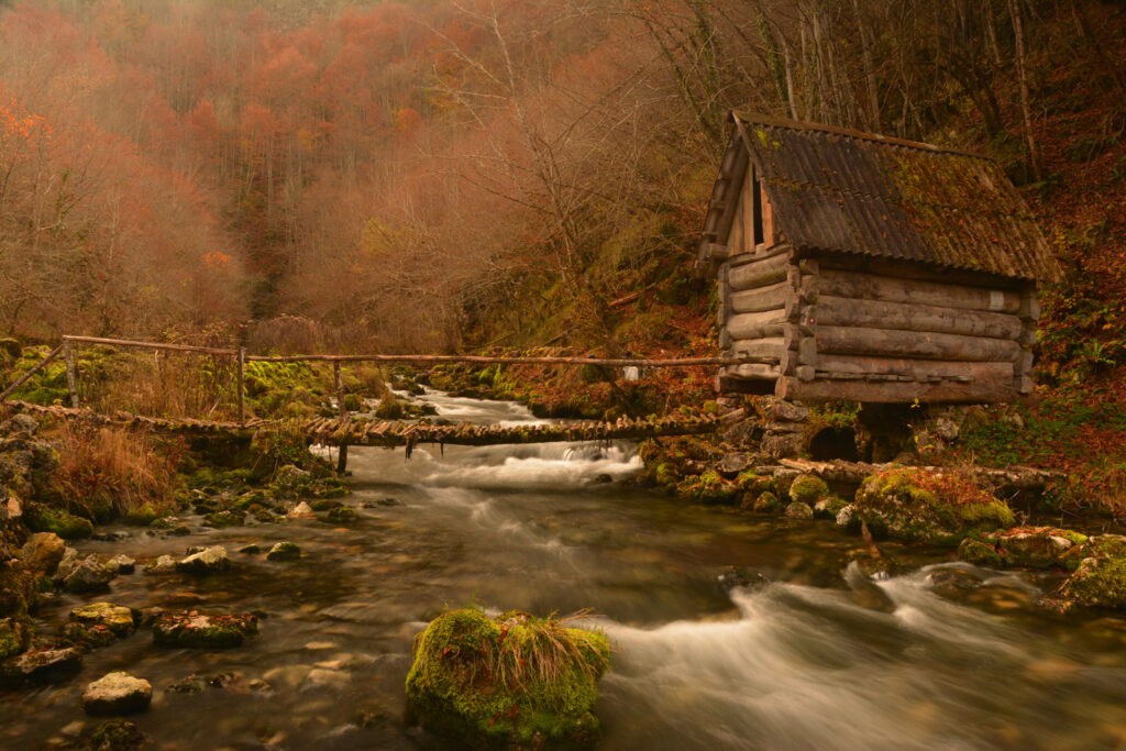 PROGLAŠENE POBJEDNIČKE FOTOGRAFIJE 1. FOTO KONKURSA “NEDŽIB VUČELJ”