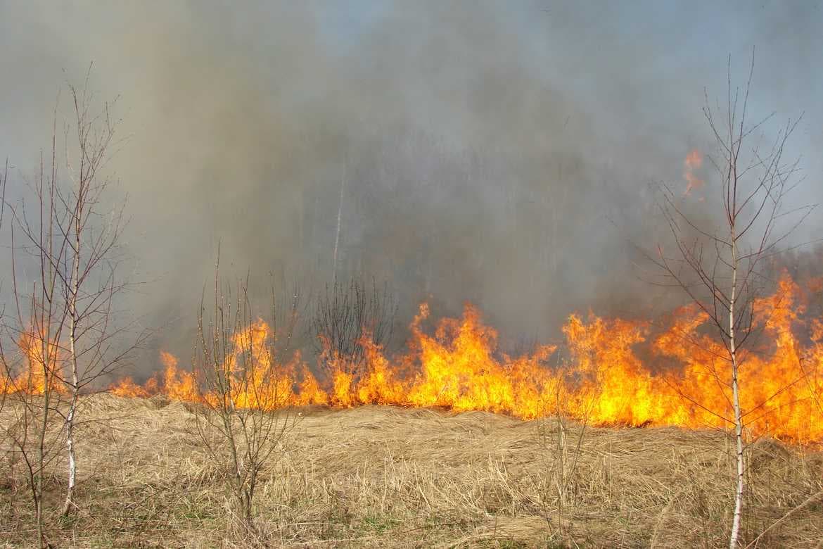 Požari na području Općine Bužim stavljeni pod kontrolu – kazne i do 12 godina zatvora