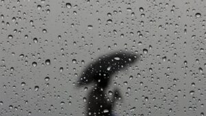 SERVISNE INFORMACIJE ZA UTORAK 21.04.2026.