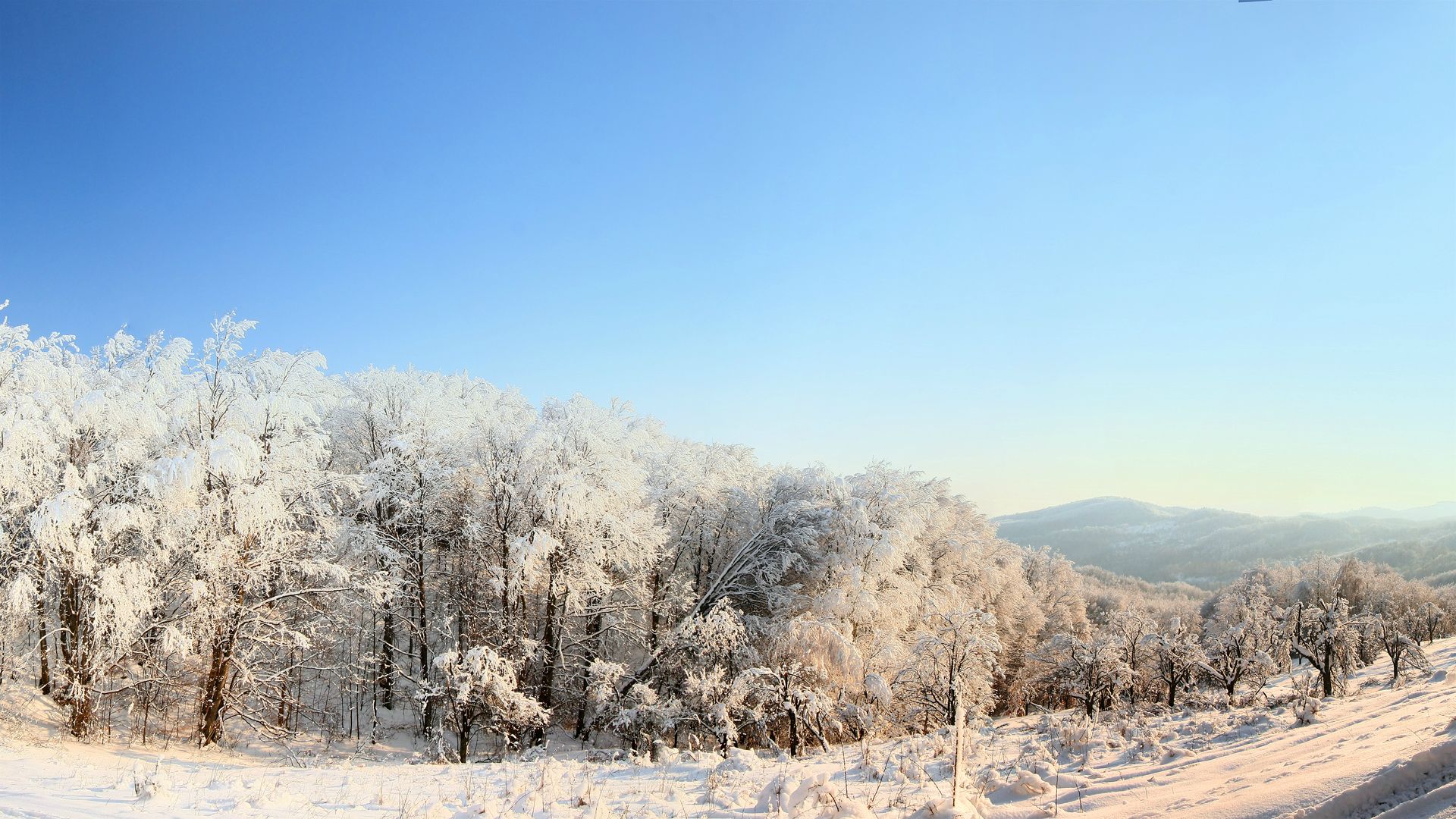 SERVISNE INFORMACIJE ZA ČETVRTAK 26.12.2024.