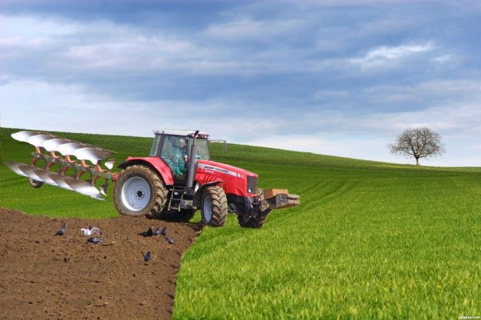 VODIČ ZA KORISNIKE NOVČANE PODRŠKE PO MODELU RURALNOG RAZVOJA