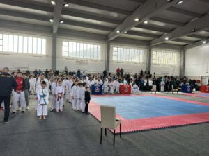 Završen 14. Kantonalni karate turnir za djecu, kadete i juniore U21 u organizaciji KK ”Bužim”.
